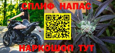a pvp Славгород