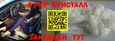 a pvp Славгород